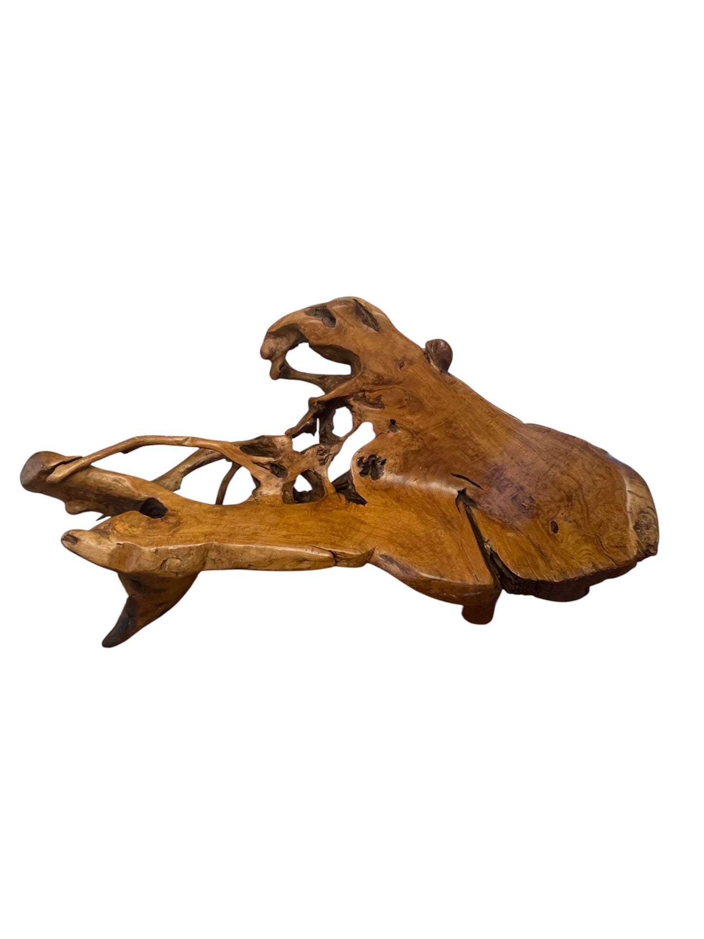 Canapé sculptural monumental en racine de bois — Pièce de collection